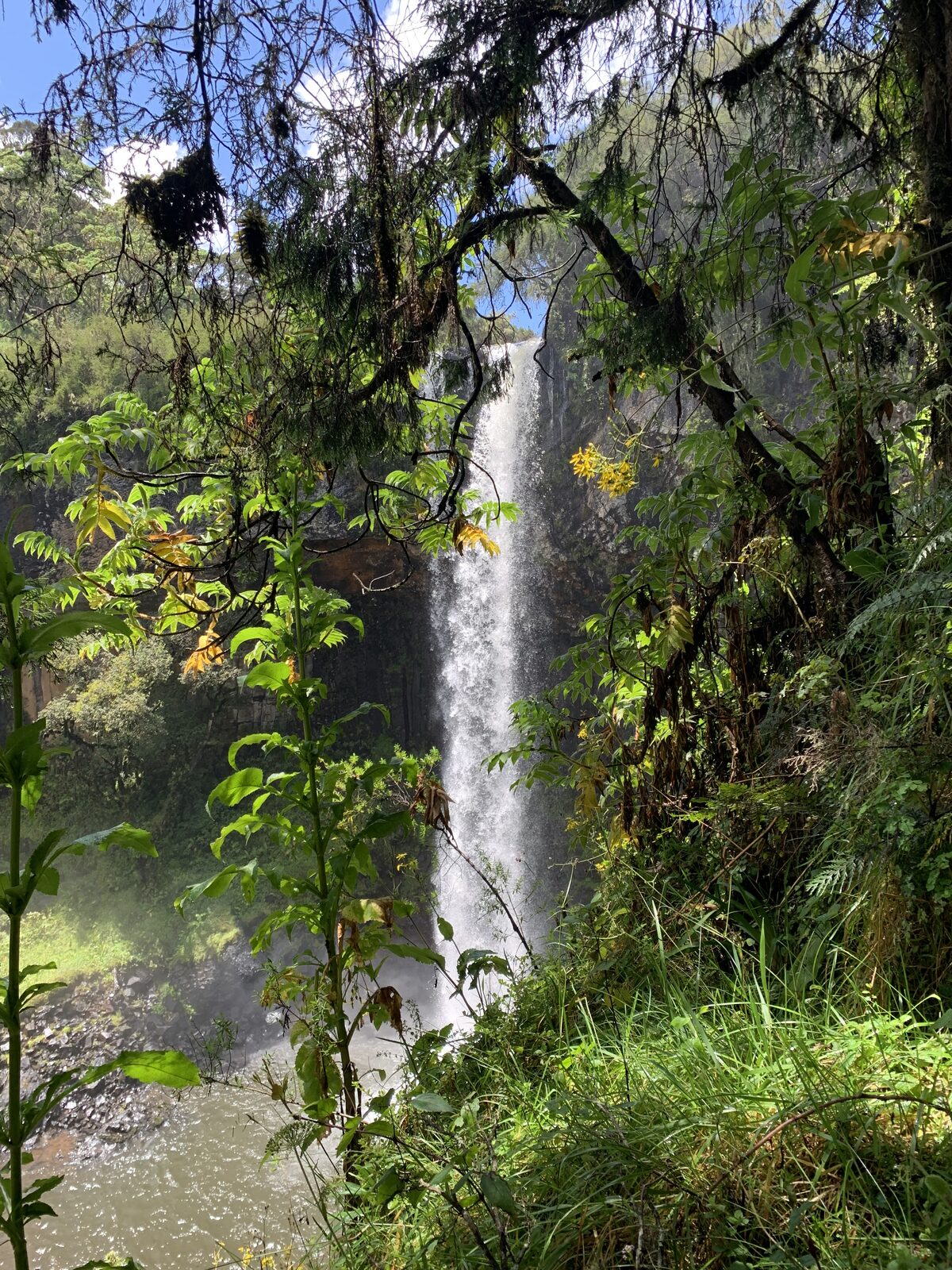 A waterfall in the Aberdare rainforest