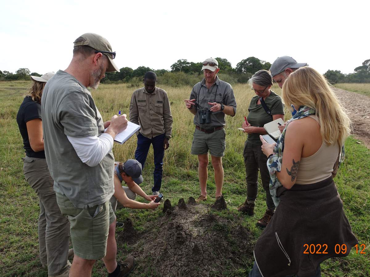 A group learning in the field at a termite mound